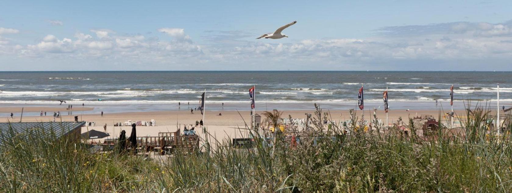 Beach&Dunes Apartment Zandvoort Exterior foto